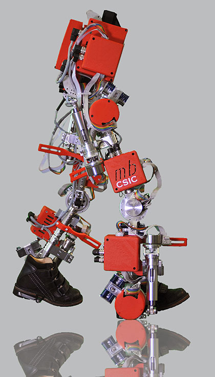 small-exoskeleton