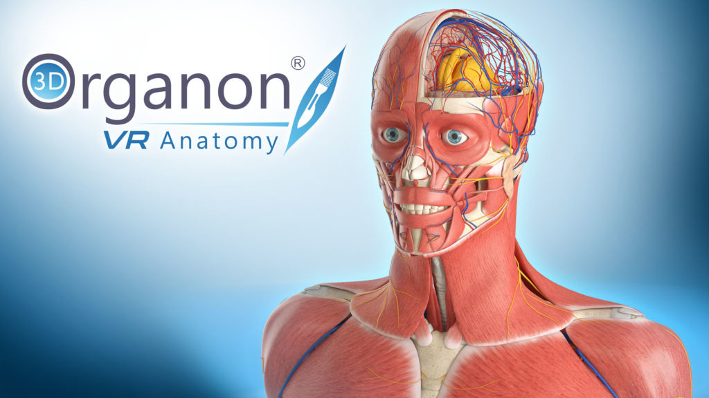 Anatomie en réalité virtuelle