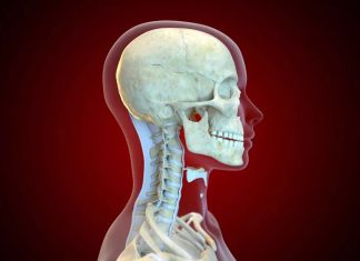 rachis cervical